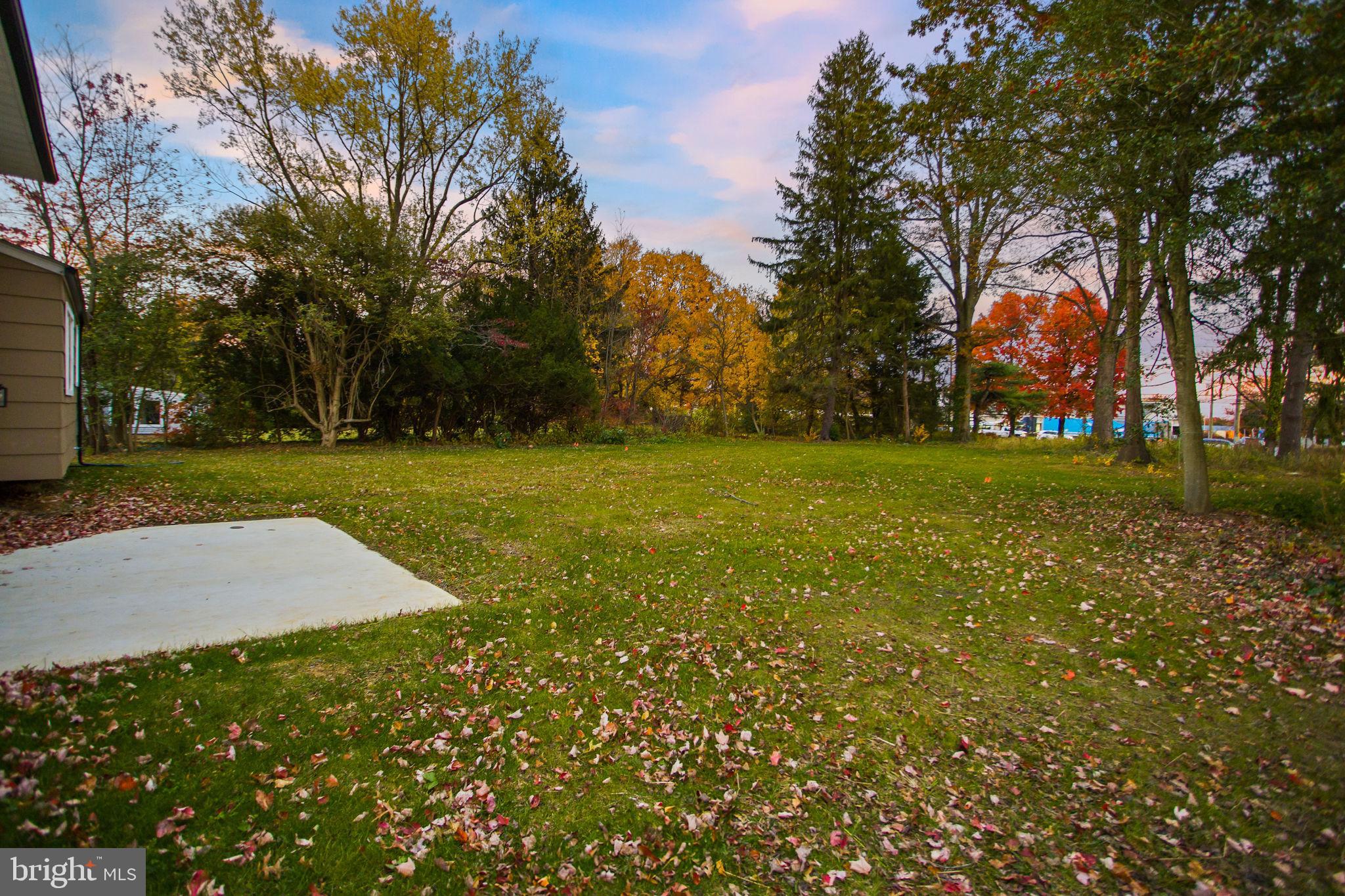 6 Ryan Road Cranbury, NJ 08512 - Photo 39 of 44 a view of a trees in a yard