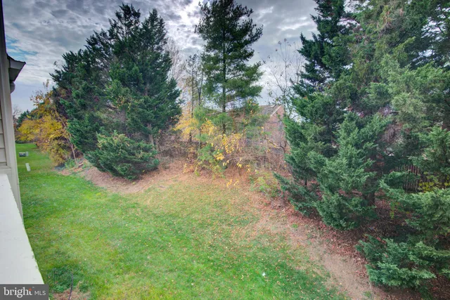 a view of a yard with plants and a bench