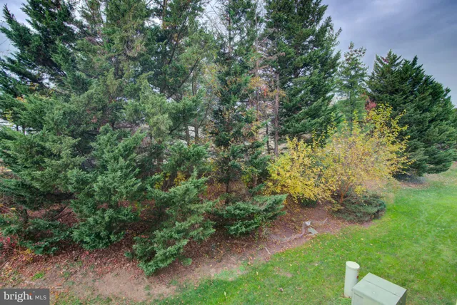 a view of backyard with green space
