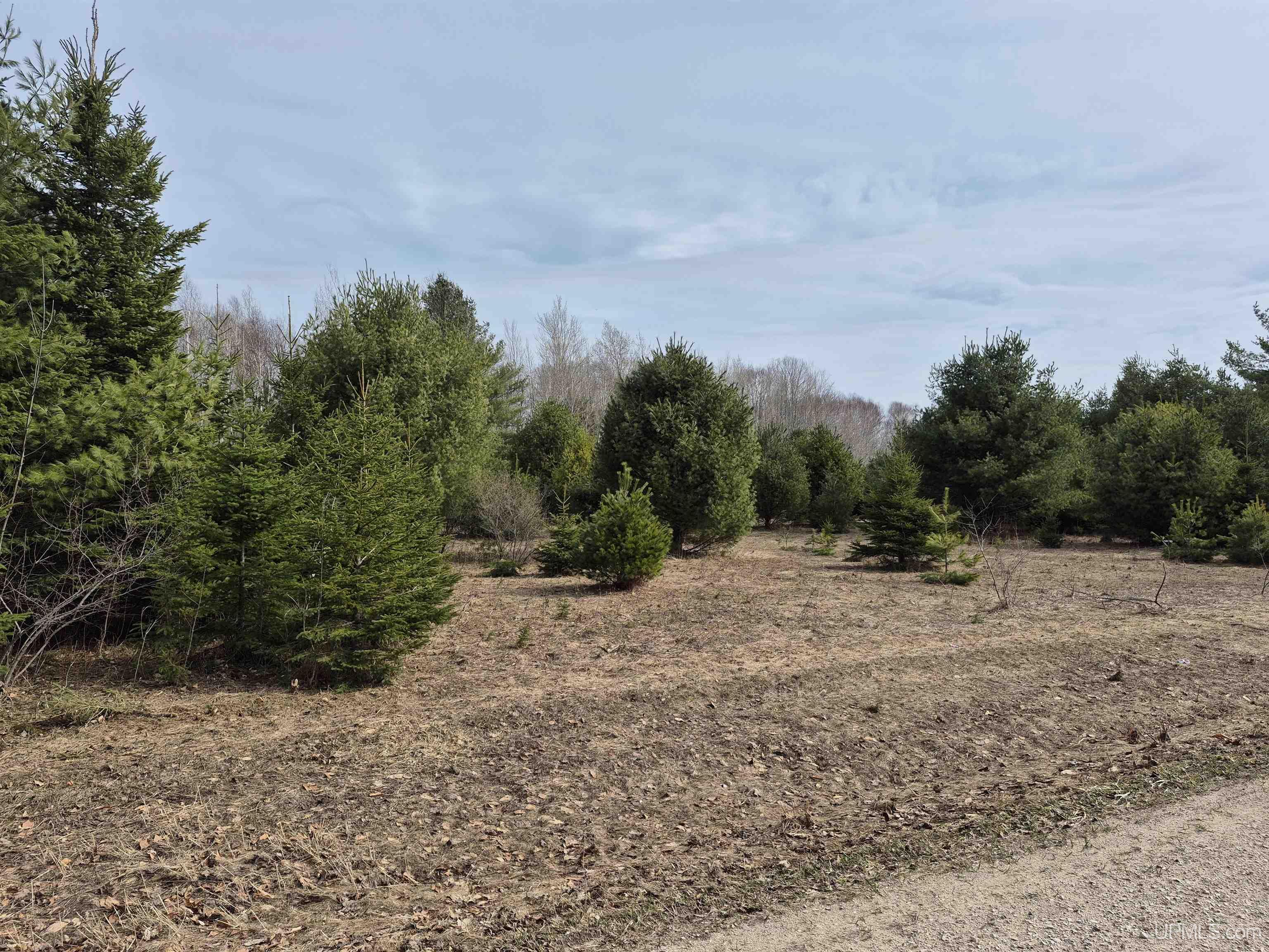 3754 Quarry Road Gulliver, MI 49840 - Photo 6 of 77