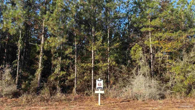 $99,900 | Lot 63 Straw Bridge Road, Jay, FL 32565