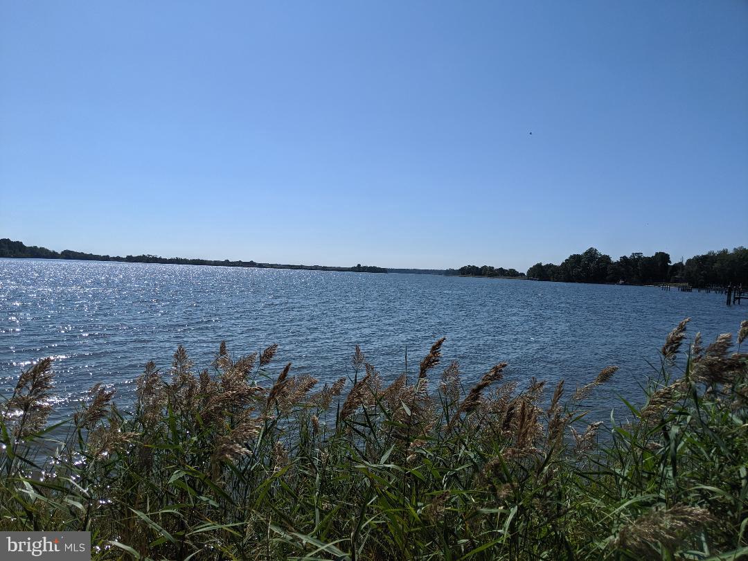 3009 Bennett Point Road Queenstown, MD 21658 - Photo 2 of 10