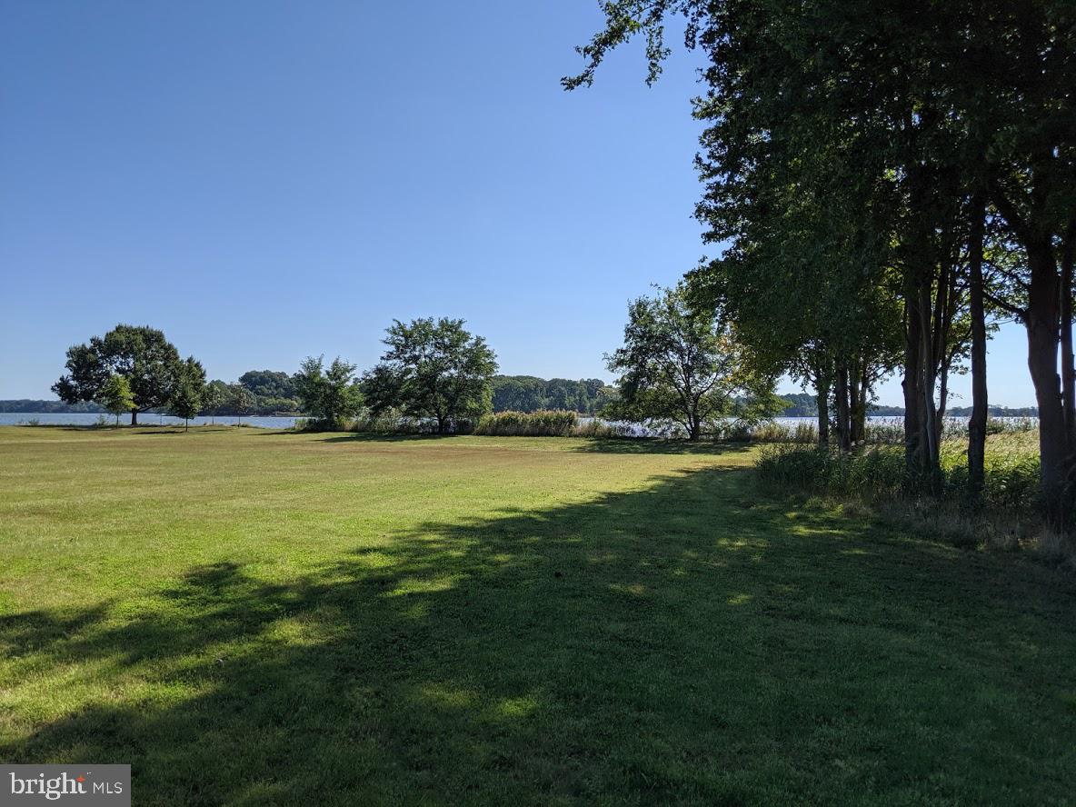 3009 Bennett Point Road Queenstown, MD 21658 - Photo 6 of 10