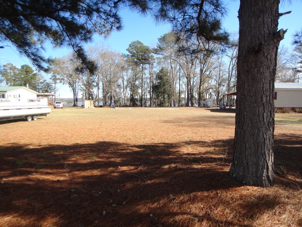 2791 Calhoun Drive Abbeville, AL 36310 - Photo 4 of 12