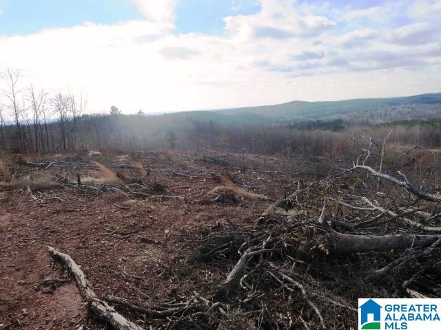 641 County Road, Unit 80 Ranburne, AL 36273 - Photo 3 of 7