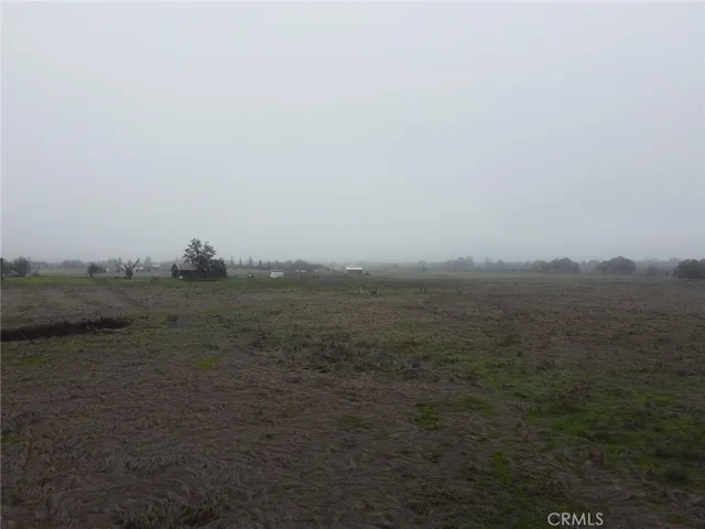 a view of a field with trees in background