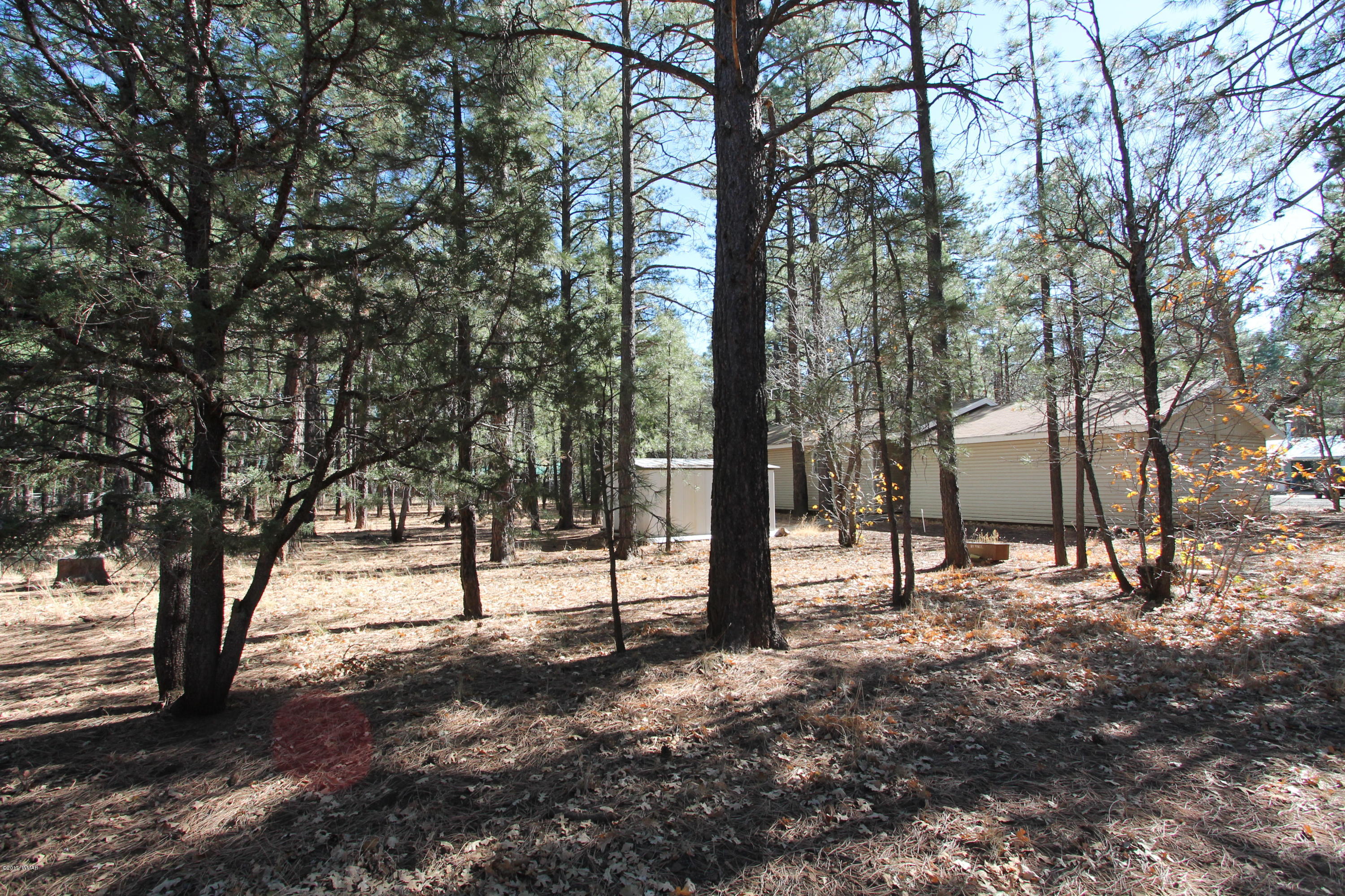 460 West Springtime Drive Drive Lakeside, AZ 85929 - Photo 11 of 17