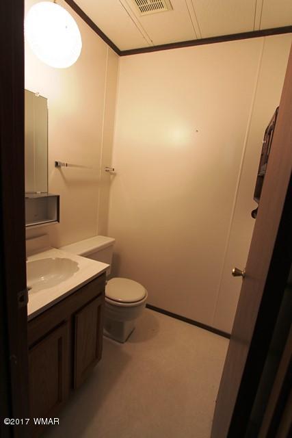 460 West Springtime Drive Drive Lakeside, AZ 85929 - Photo 12 of 17