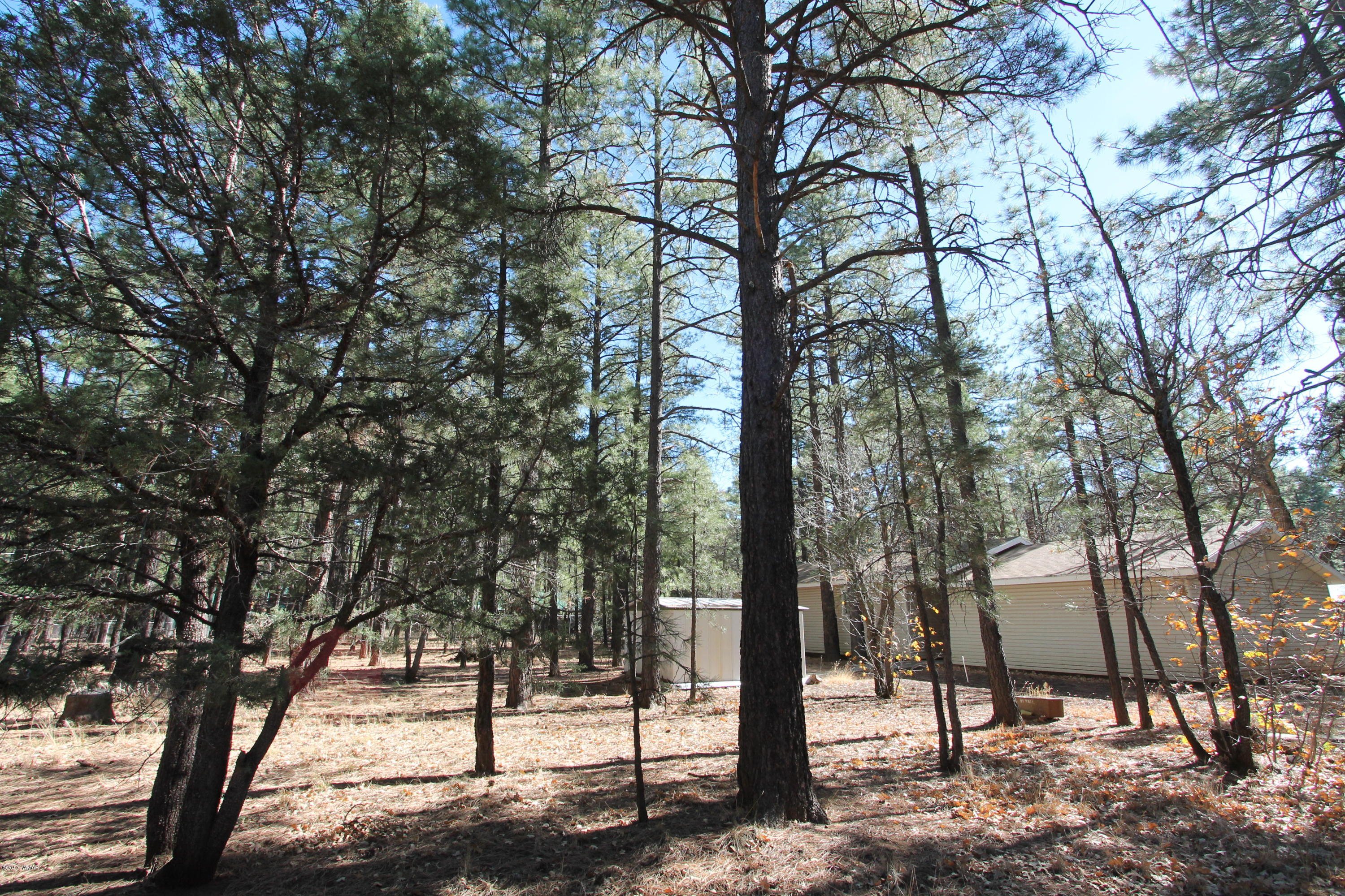 460 West Springtime Drive Drive Lakeside, AZ 85929 - Photo 13 of 17
