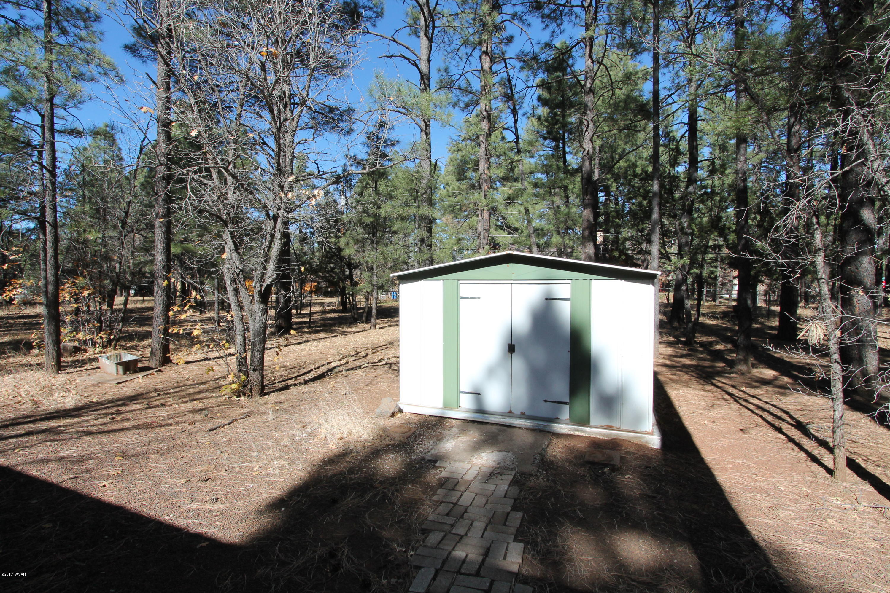 460 West Springtime Drive Drive Lakeside, AZ 85929 - Photo 14 of 17