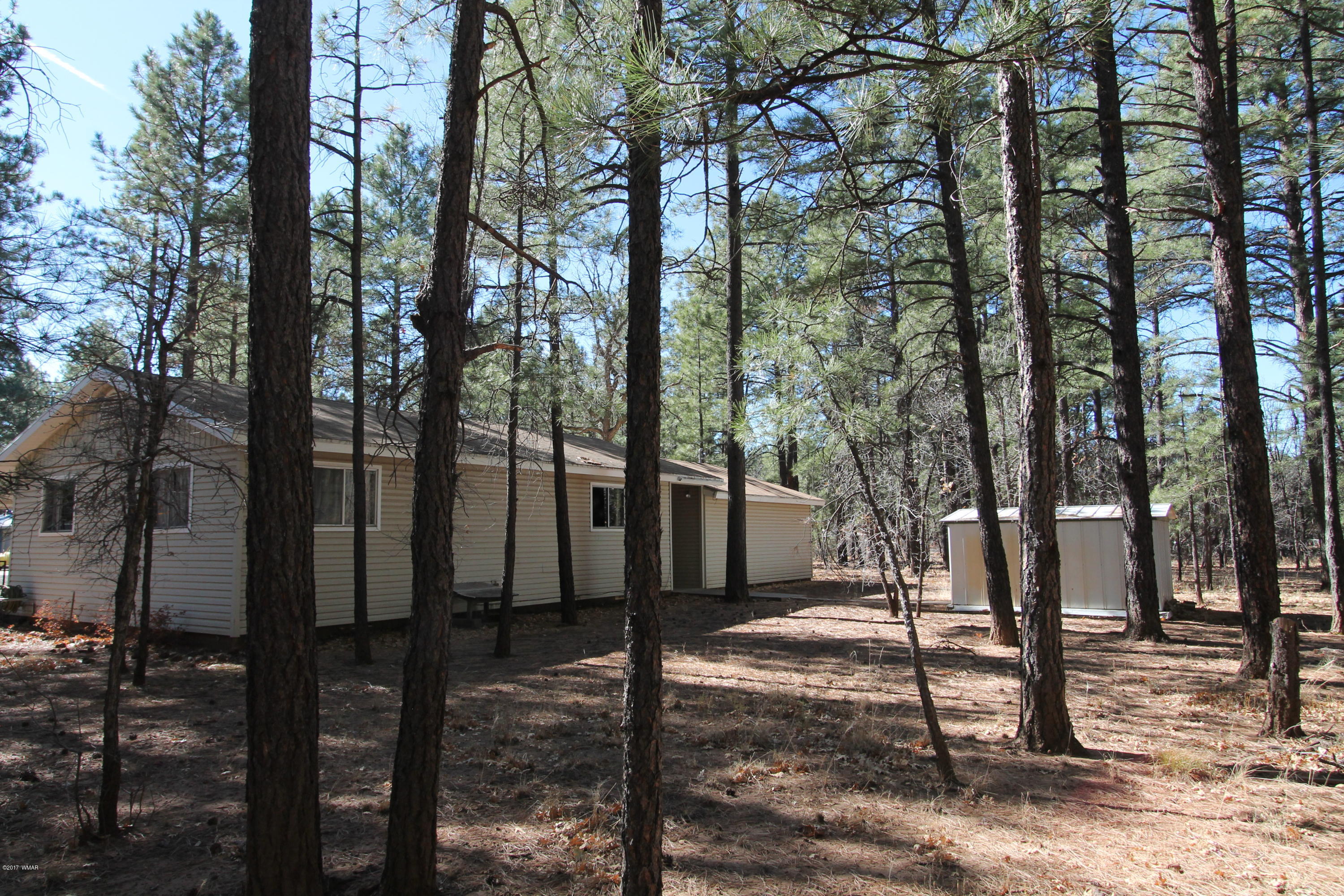 460 West Springtime Drive Drive Lakeside, AZ 85929 - Photo 15 of 17