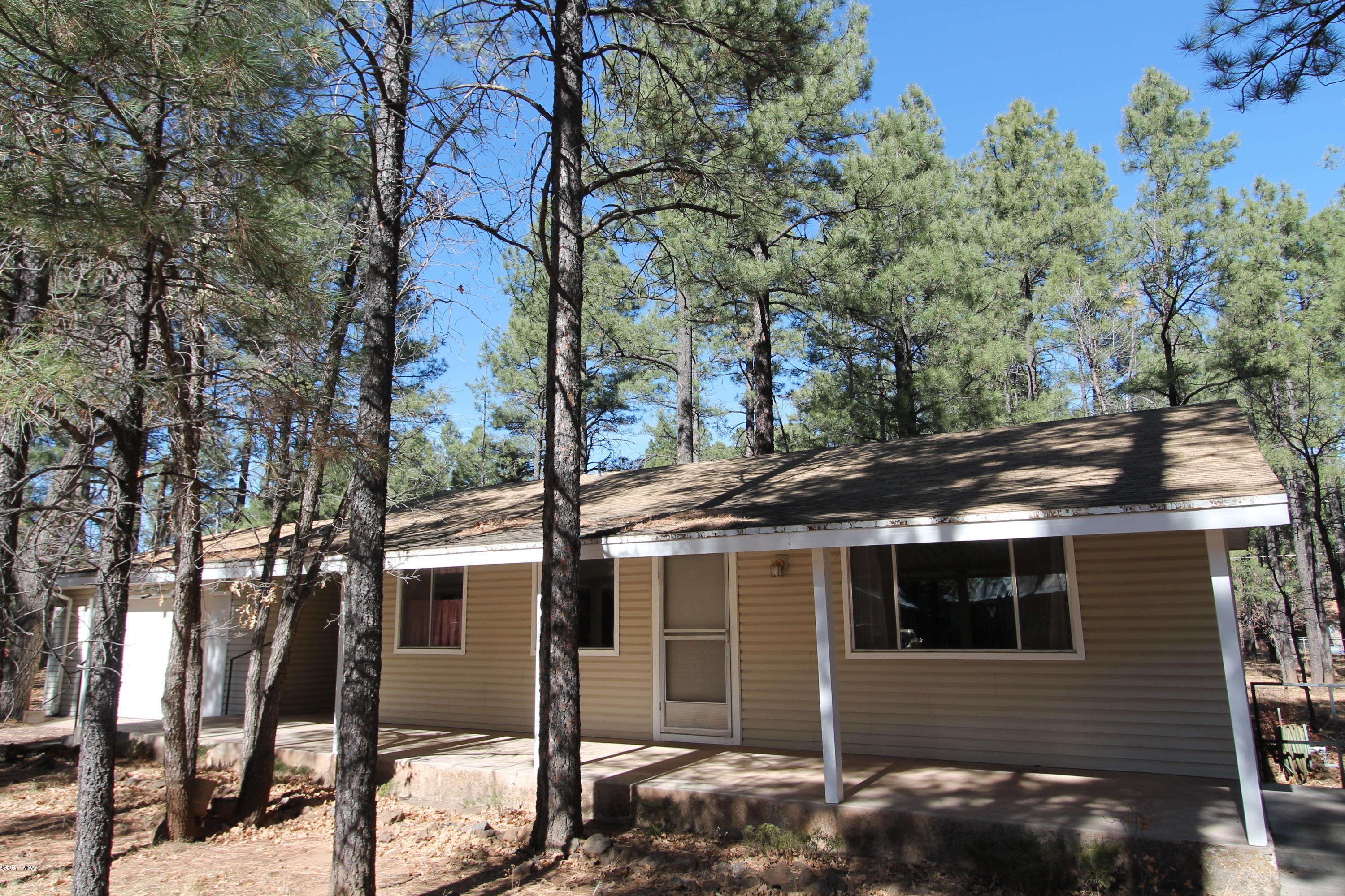 460 West Springtime Drive Drive Lakeside, AZ 85929 - Photo 17 of 17