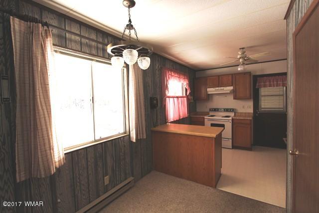 460 West Springtime Drive Drive Lakeside, AZ 85929 - Photo 3 of 17