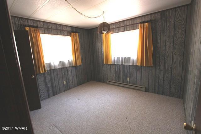 460 West Springtime Drive Drive Lakeside, AZ 85929 - Photo 10 of 17