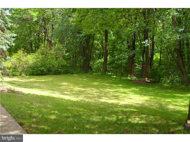 555 Coach Road Horsham, PA 19044 - Photo 12 of 13 Back Yard