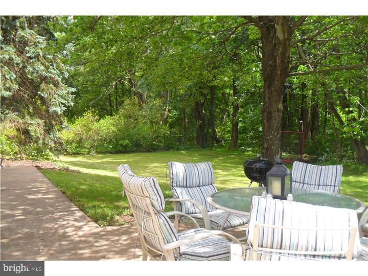 555 Coach Road Horsham, PA 19044 - Photo 13 of 13 Back Yard