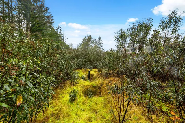 a view of outdoor space and a yard