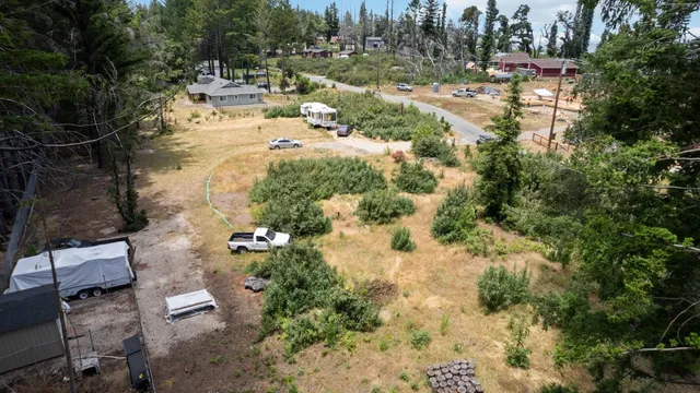 a view of a park with large trees