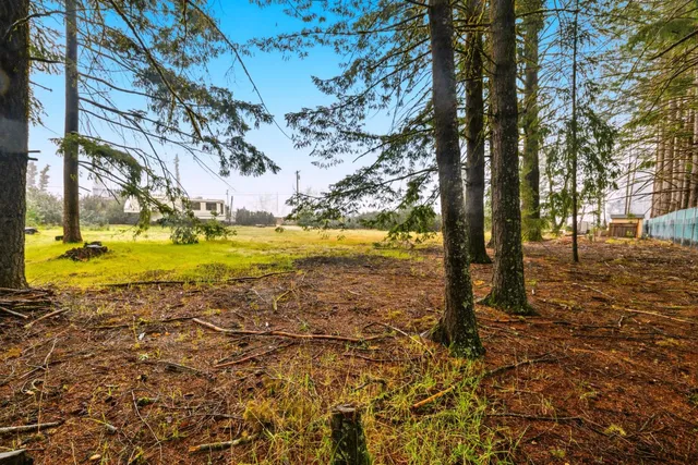 a view of a swimming pool and trees in the background