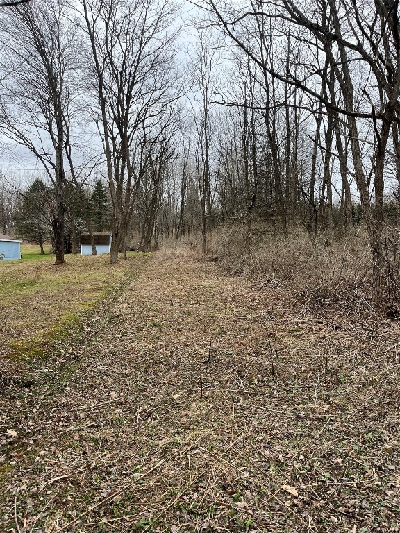 0 Cueball Road Greene, NY 13778 - Photo 1 of 7 Gallery Image 1