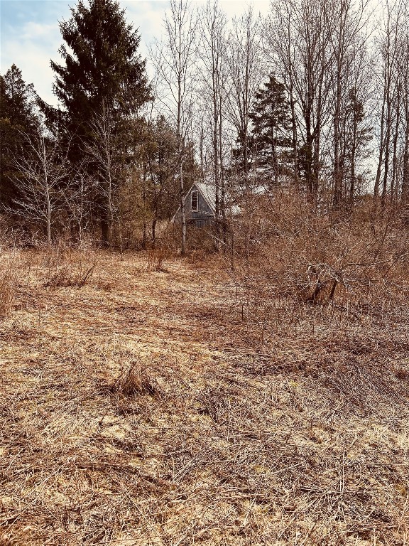 0 Cueball Road Greene, NY 13778 - Photo 5 of 7 Gallery Image 5