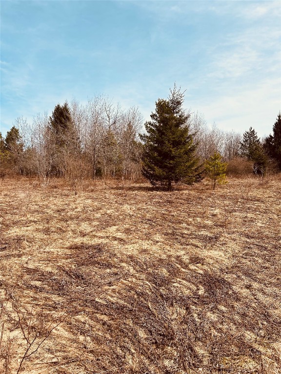0 Cueball Road Greene, NY 13778 - Photo 6 of 7 Gallery Image 6