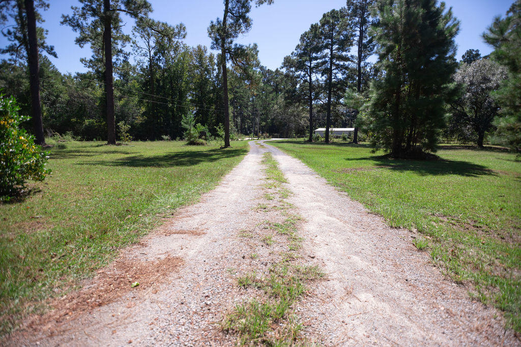 820 Hiers Corner Road Walterboro, SC 29488 - Photo 51 of 51 IMG_2433