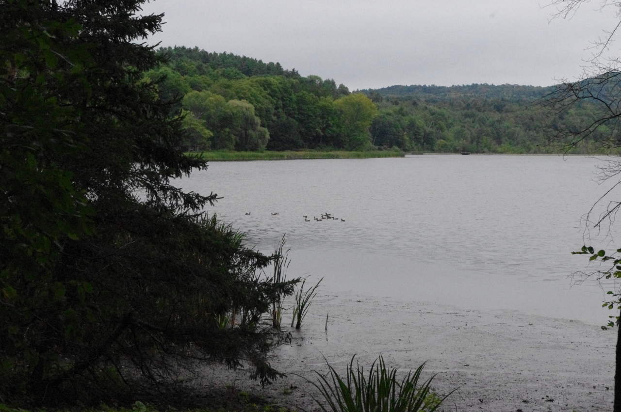 106 Stevens Lake Road Monterey, MA 01245 - Photo 16 of 16 a view of a lake with lots of trees