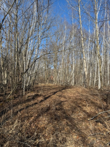Tbd Tbd Woodchuck Trail Randall, MN 56475 - Photo 2 of 7