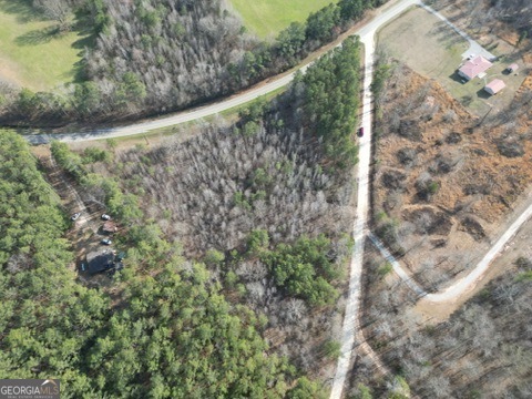0 Veribest Road Lexington, GA 30648 - Photo 2 of 6