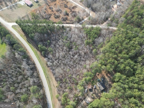 0 Veribest Road Lexington, GA 30648 - Photo 3 of 6