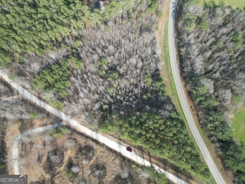 0 Veribest Road Lexington, GA 30648 - Photo 4 of 6