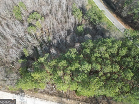 0 Veribest Road Lexington, GA 30648 - Photo 6 of 6