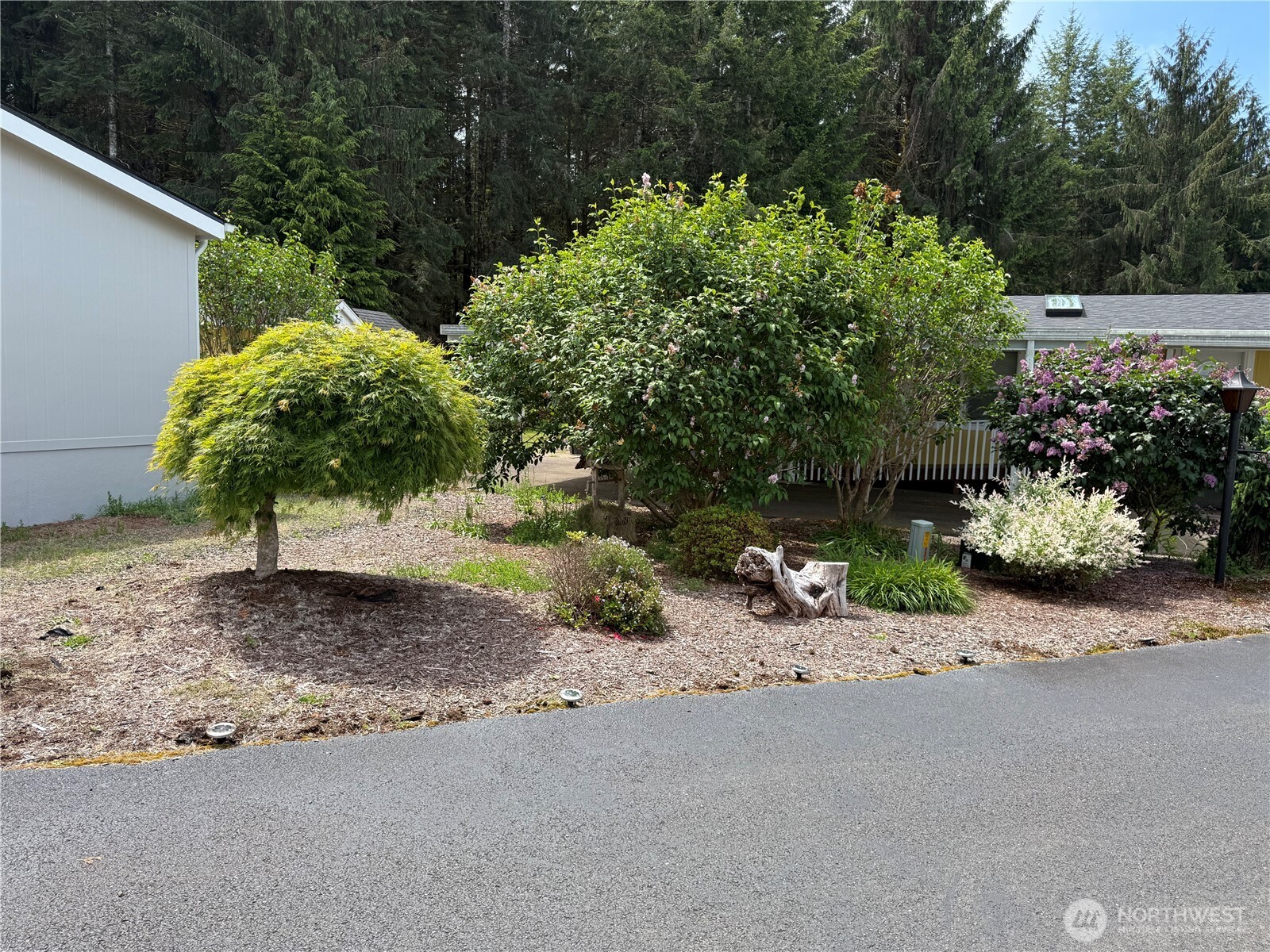 77 Clemons Road, Unit 105 Montesano, WA 98563 - Photo 3 of 25