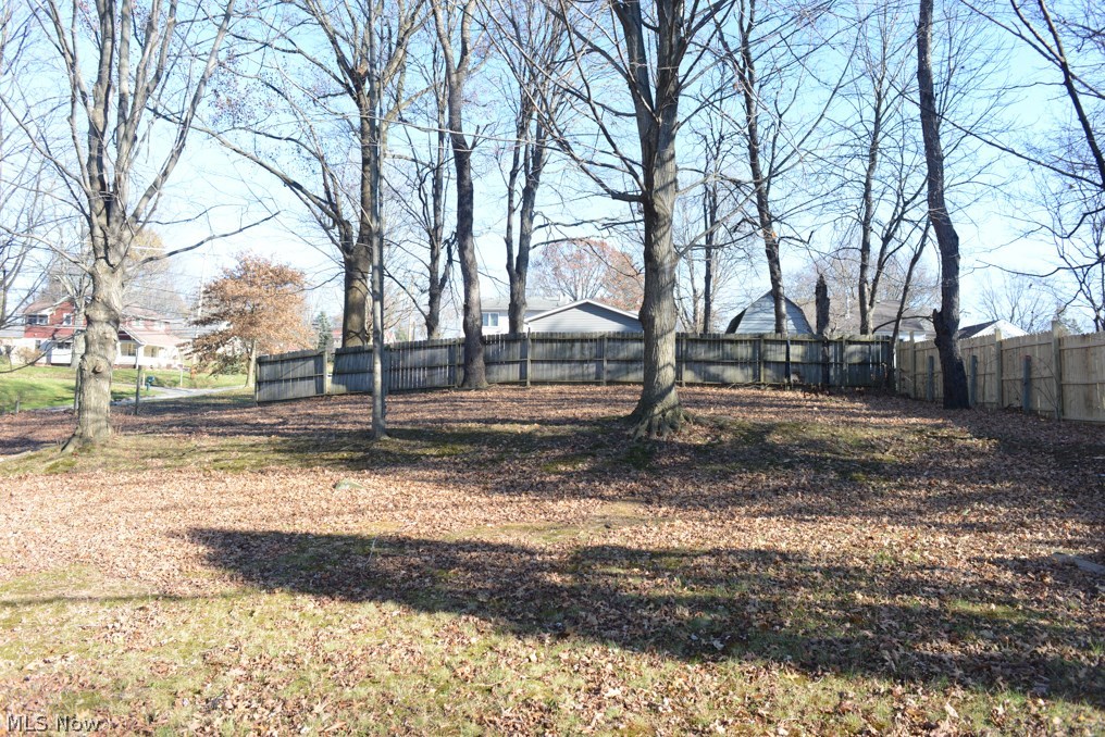 105 Trease Road Wadsworth, OH 44281 - Photo 18 of 19 Large back yard and a perfect place right there between those two trees to place a hemock.