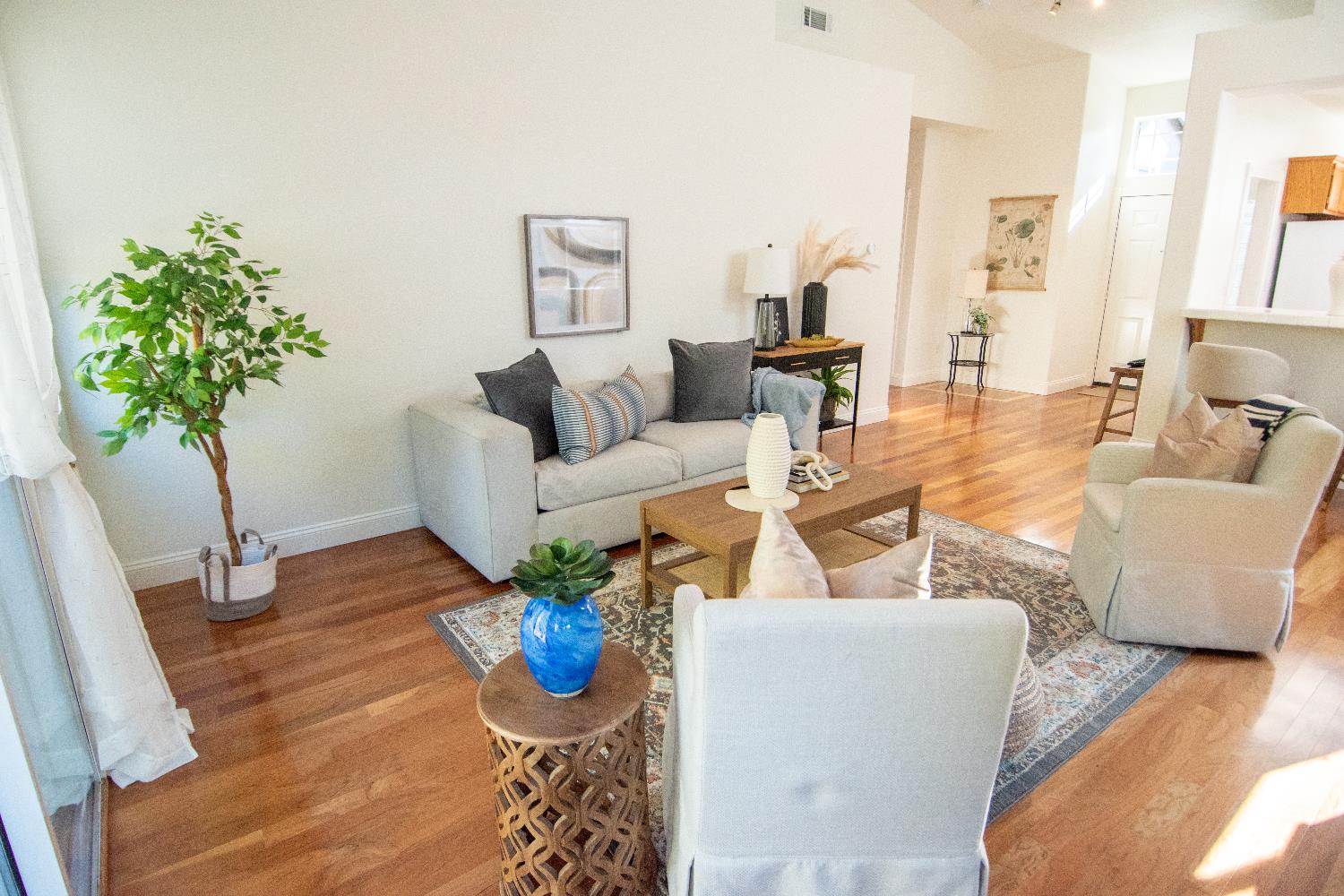 105 Whiting Way Folsom, CA 95630 - Photo 16 of 78 a living room with furniture and a potted plant