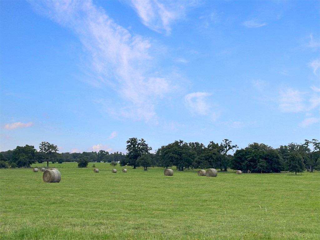 1228 Cr 348 Loop Gause, TX 77857 - Photo 41 of 46 a backyard of a building with lots of green space