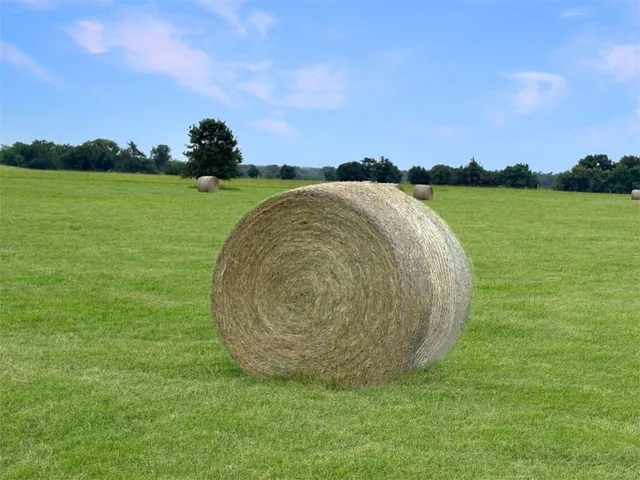 $1,100,000 | 1228 Cr 348 Loop, Gause, TX 77857