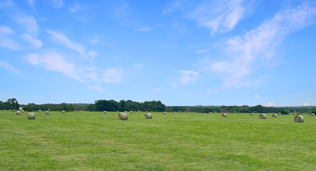 1228 Cr 348 Loop Gause, TX 77857 - Photo 44 of 46 a view of lake and mountain