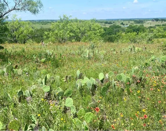 $55,500 | Lot 59 Comanche Lake Road, Comanche, TX 76442