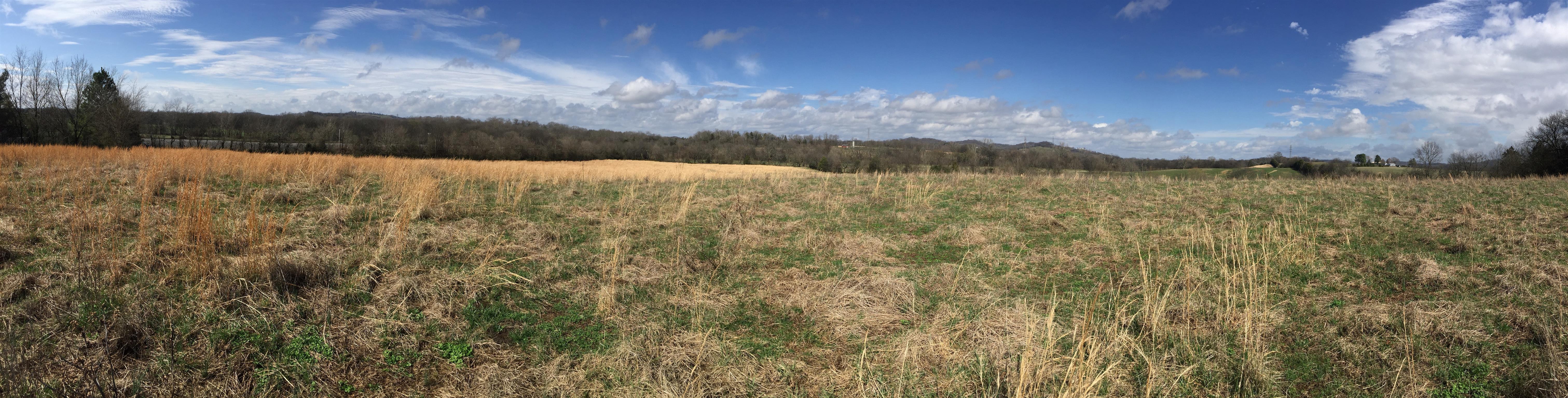 553 Bugscuffle Road Wartrace, TN 37183 - Photo 3 of 6 a view of lake