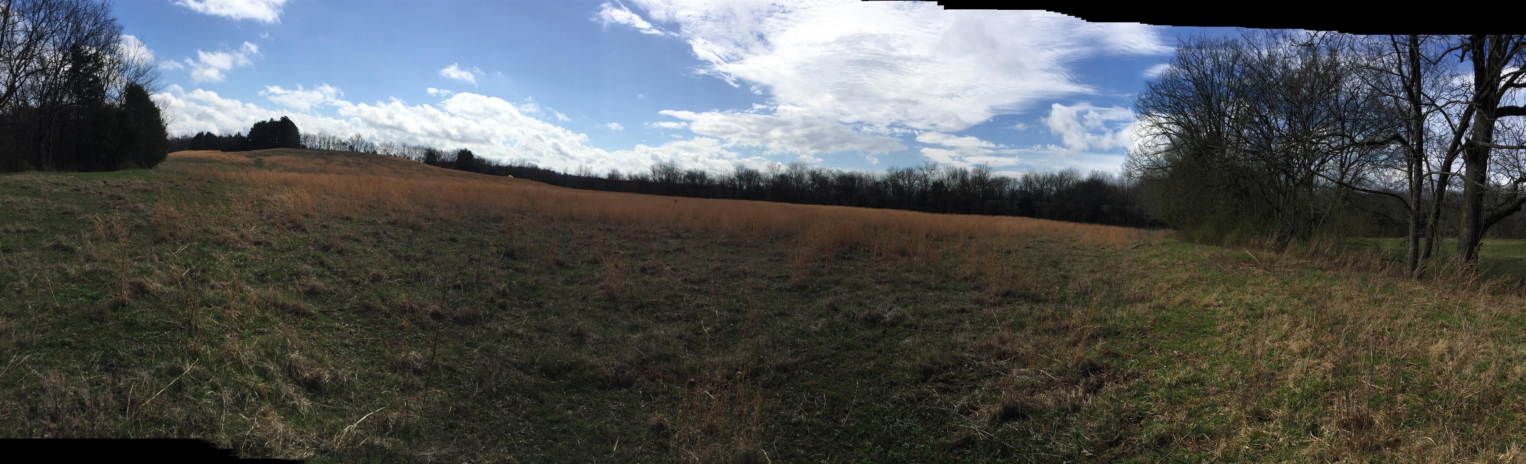 553 Bugscuffle Road Wartrace, TN 37183 - Photo 5 of 6 a view of a yard