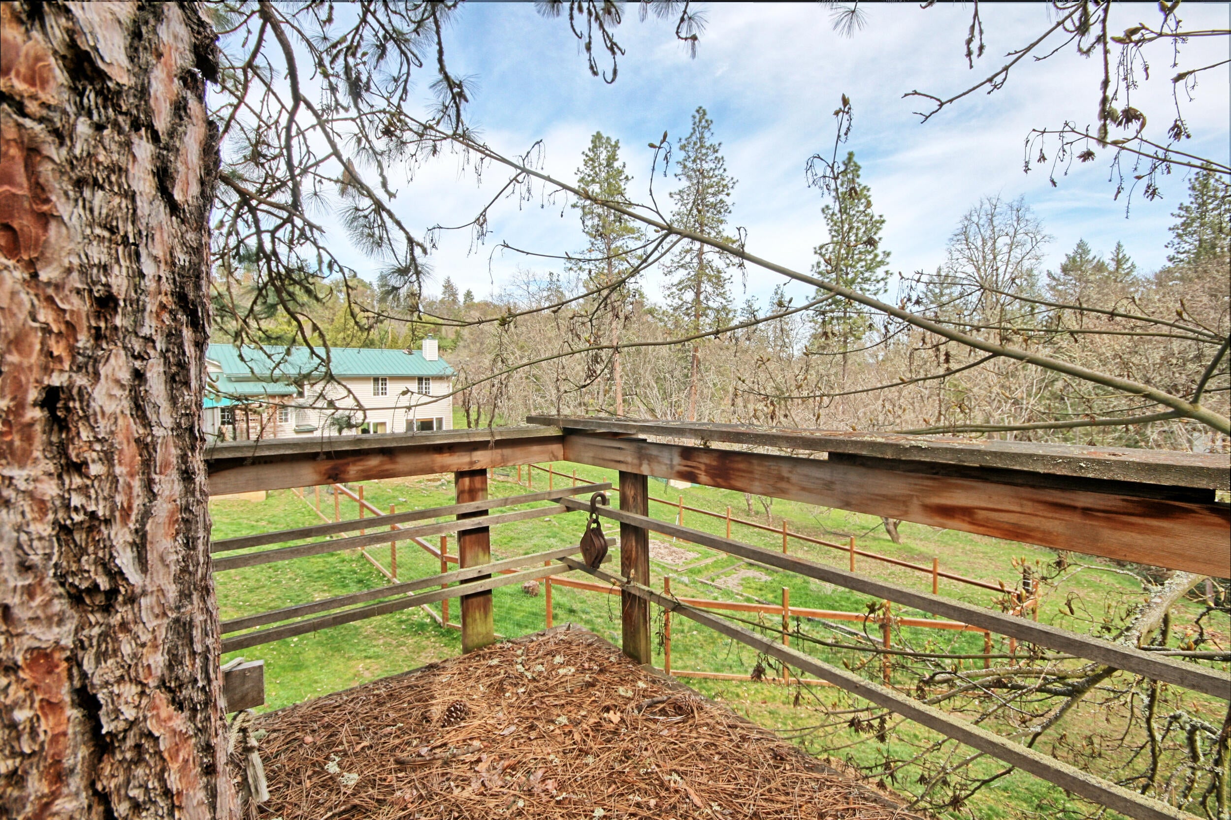 5355 Coleman Creek Road Medford, OR 97501 - Photo 60 of 76 treehouse deck