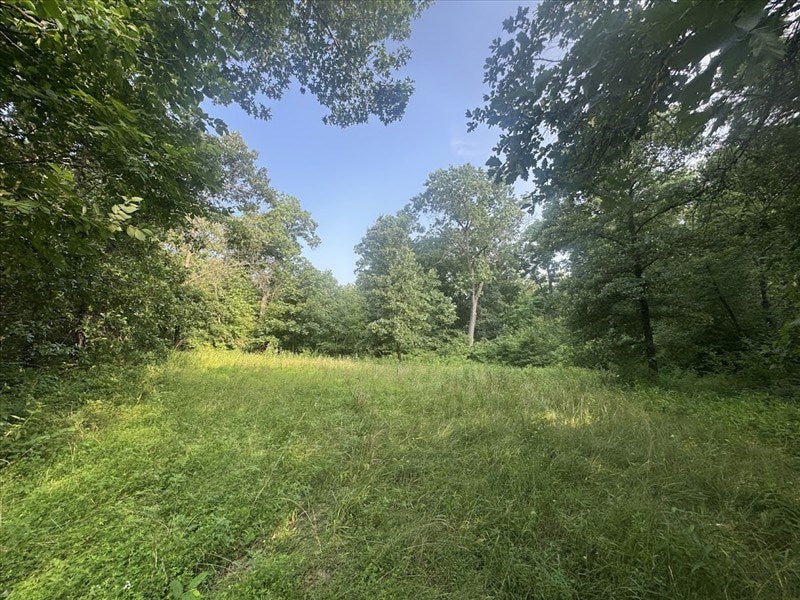 16109 Bethel Ridge Road Novinger, MO 63559 - Photo 42 of 73 Gallery Image 42