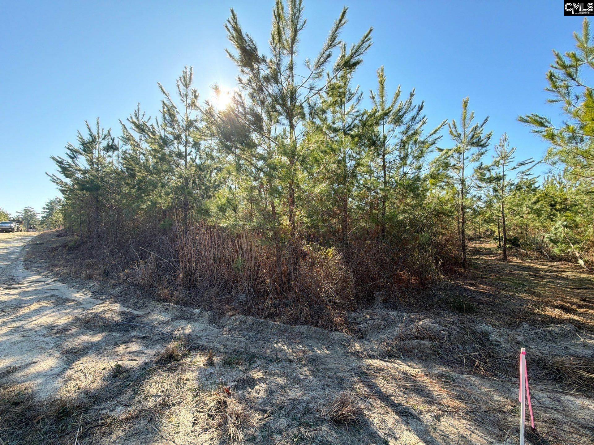 8 Brunson Teal Road, Unit BFF II 8 Patrick, SC 29584 - Photo 25 of 25
