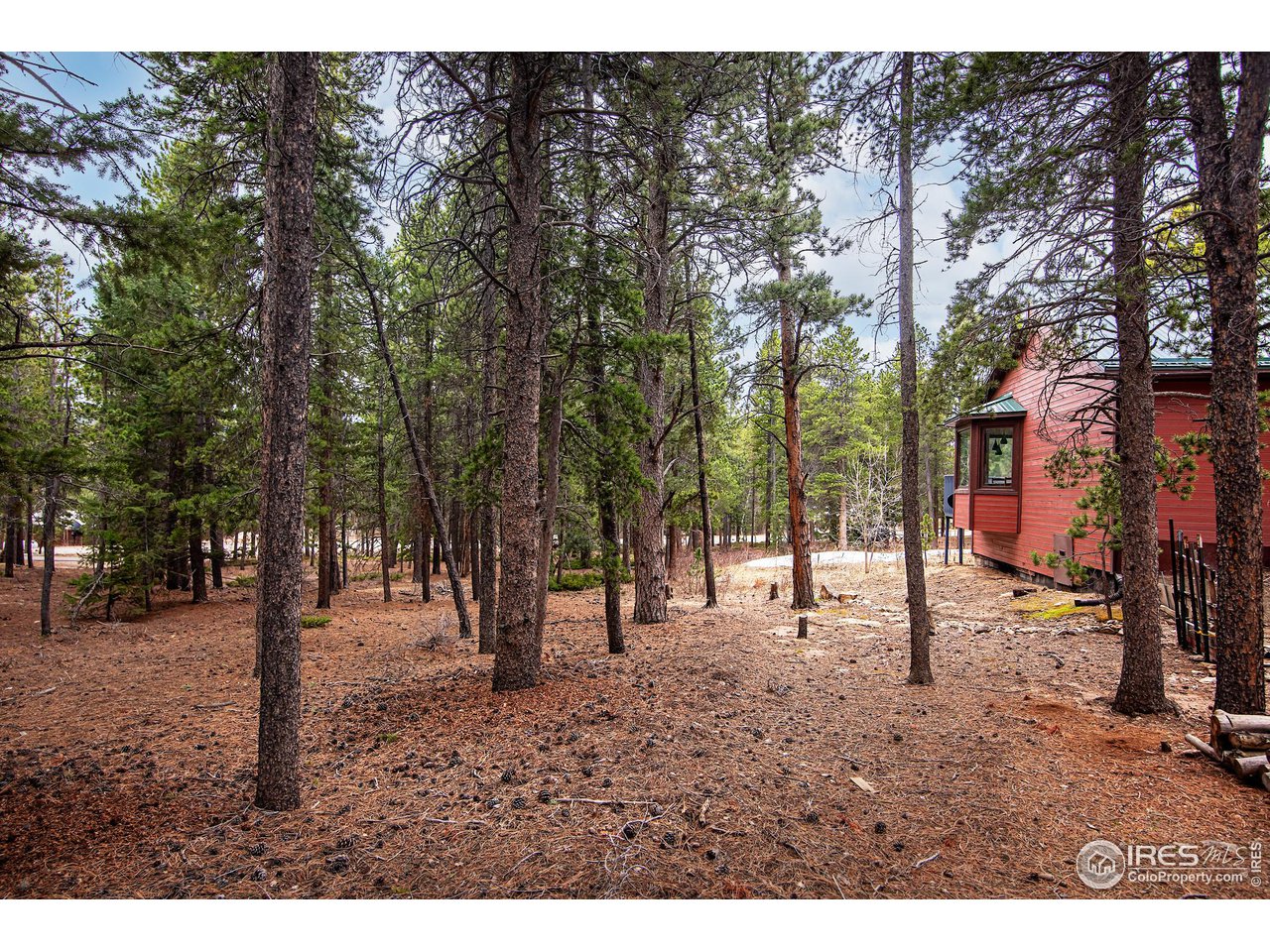 1903 Ridge Road Nederland, CO 80466 - Photo 25 of 26 Forested lot backs a quiet dirt road for added privacy