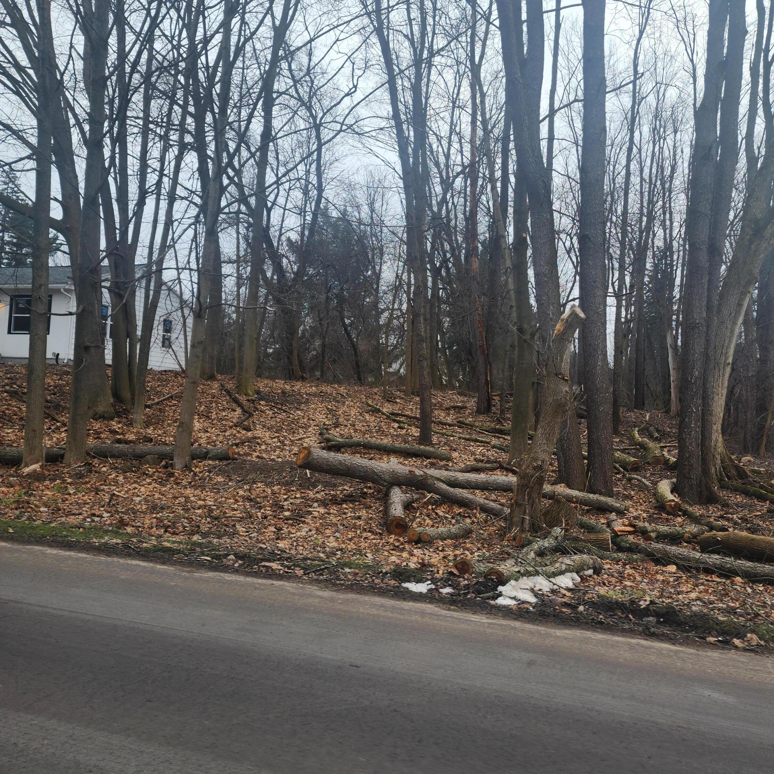 Burt Avenue Jackson, MI 49201 - Photo 2 of 5 20240201_141442