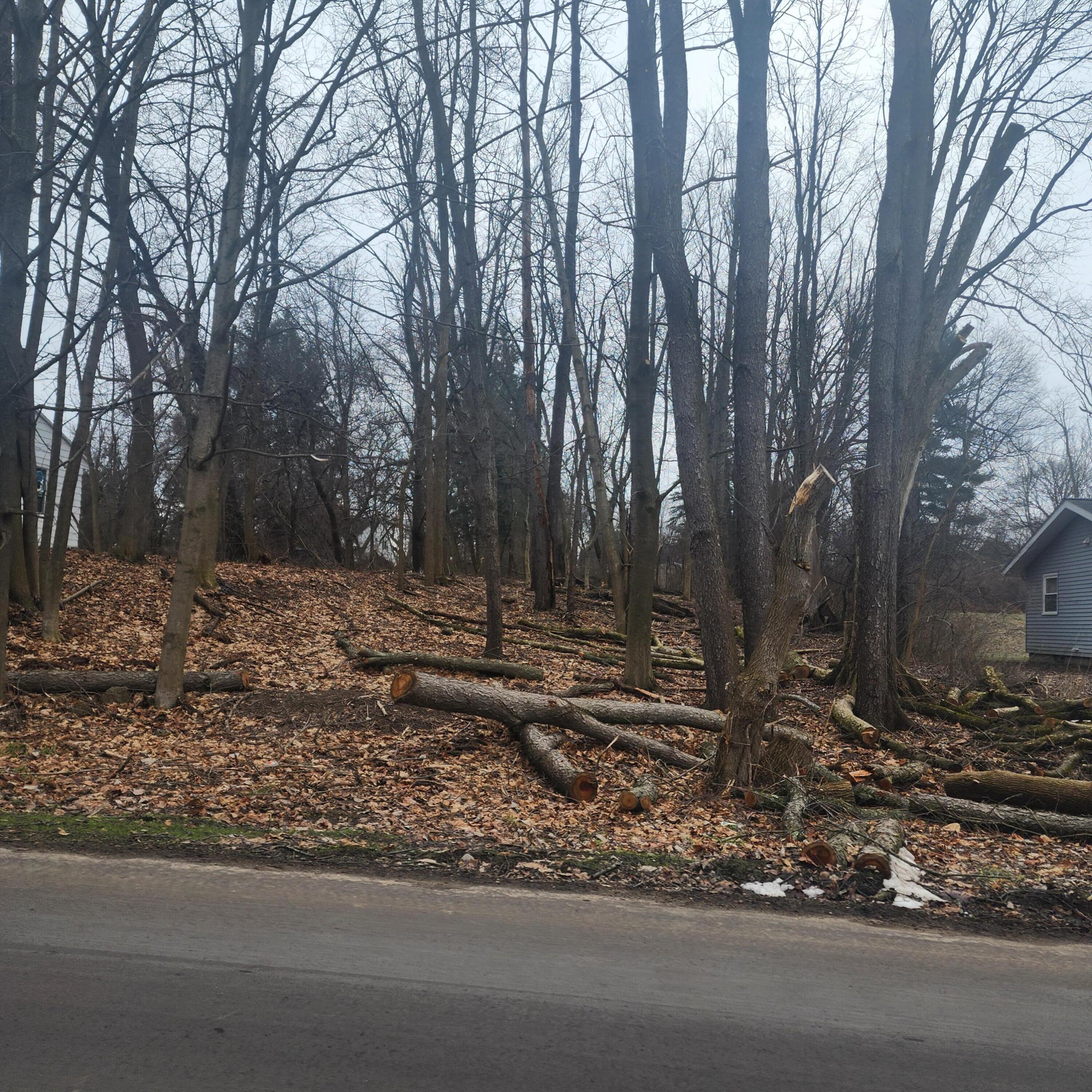 Burt Avenue Jackson, MI 49201 - Photo 3 of 5 20240201_141441