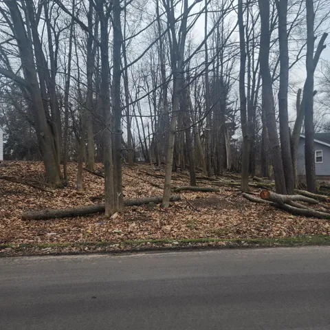 $7,000 | Burt Avenue, Jackson, MI 49201