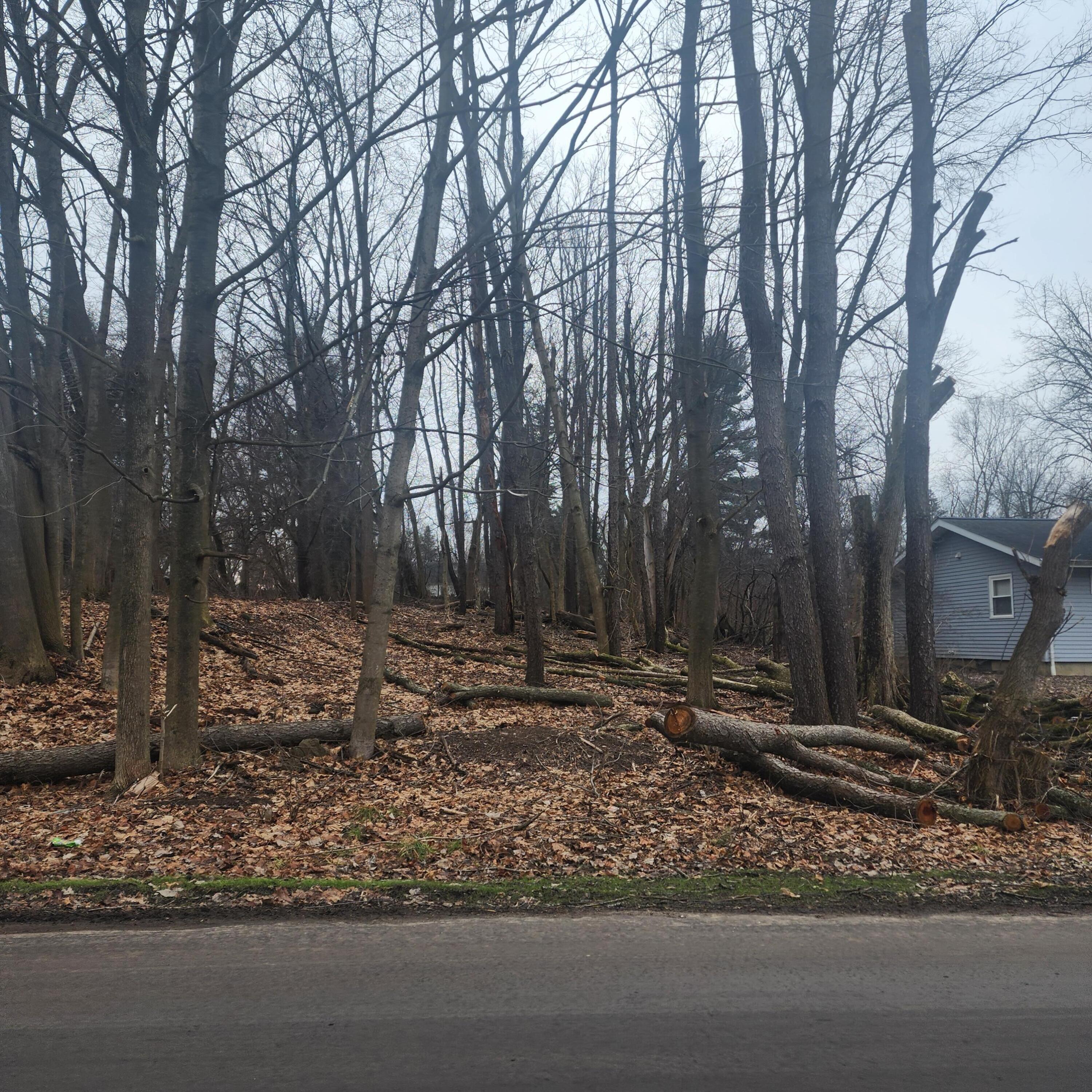 Burt Avenue Jackson, MI 49201 - Photo 5 of 5 20240201_141437